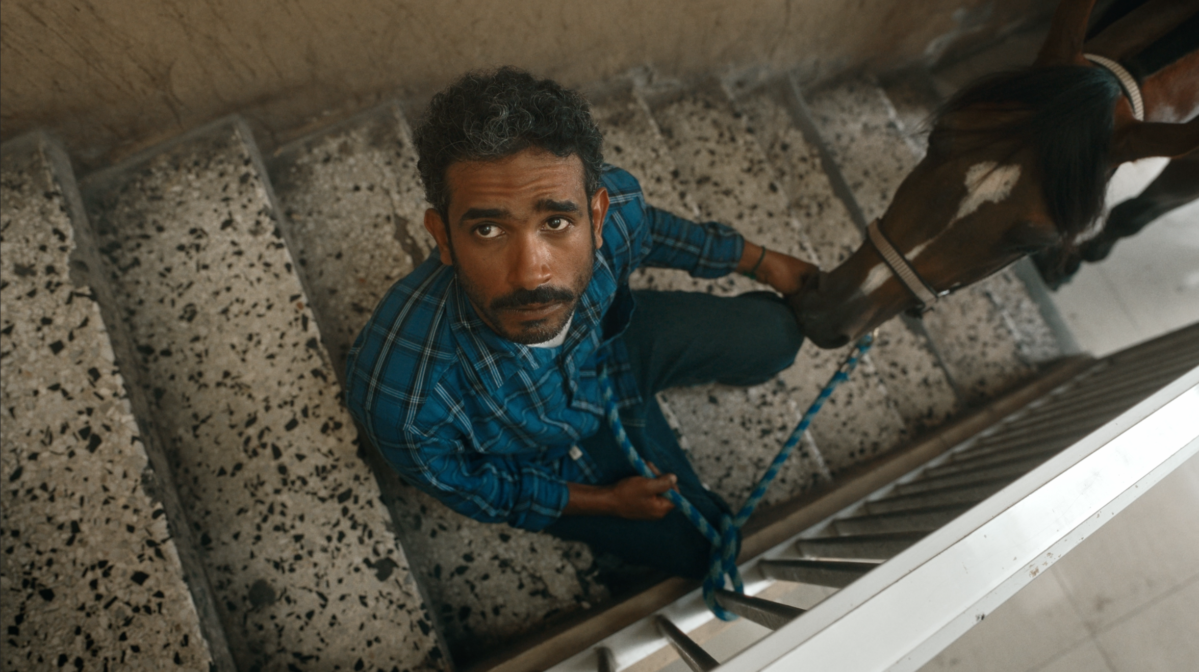 A BEAUTIFUL EXCUSE FOR A DEADLY SIN