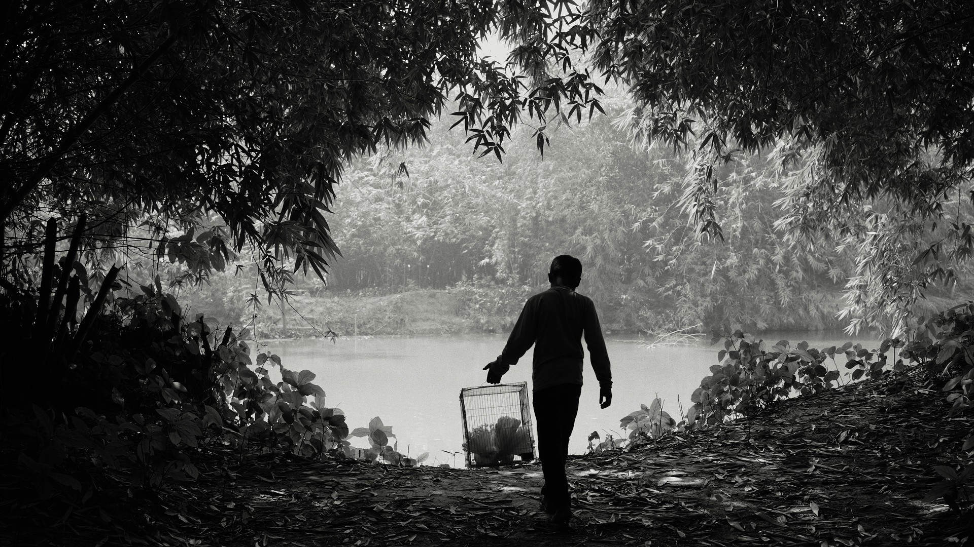 লাক্ষা